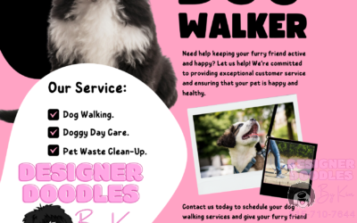 We are now offering dog walking services